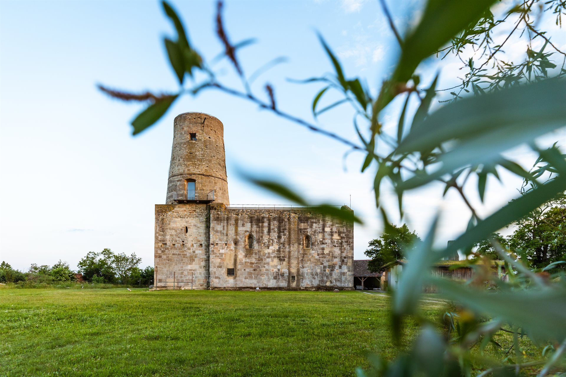 Markgrafneusiedl - Ruine, Holland im Marchfeld © Briana Pfaffel