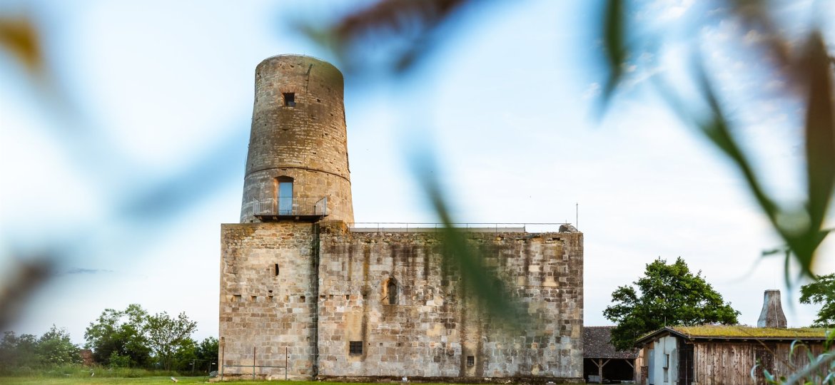 Markgrafneusiedl - Ruine, Holland im Marchfeld © Briana Pfaffel