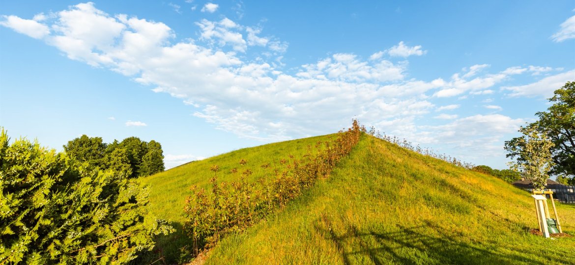 Strasshof - Rodelberg, Ortszentrum mit Sanddüne © Briana Pfaffel