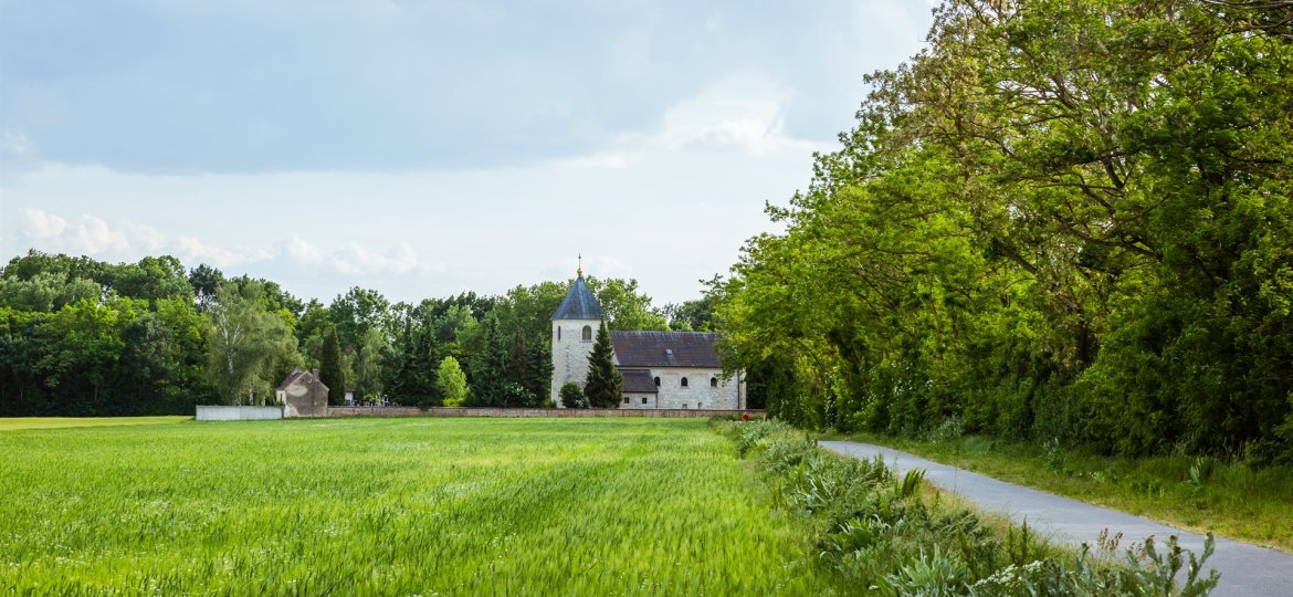 Weiden an der March - Die Gottesburg von Baumgarten © Briana Pfaffel