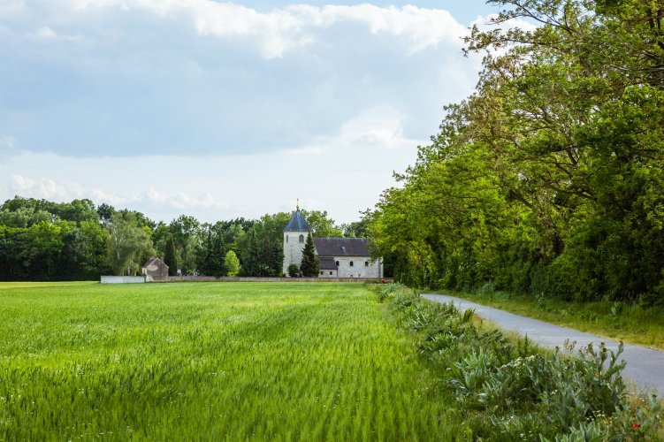 Weiden an der March - Die Gottesburg von Baumgarten © Briana Pfaffel